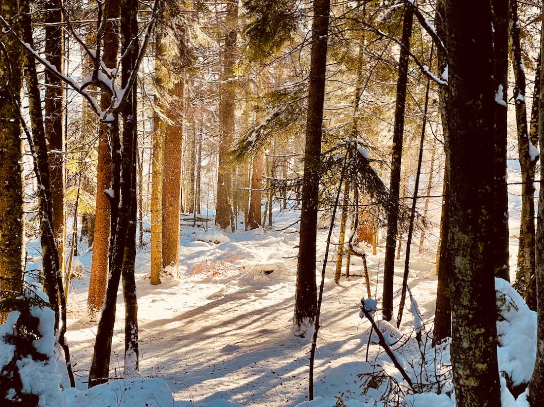 Montagna Vicentina